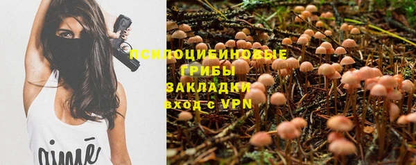 марихуана Белокуриха