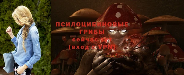 метадон Беломорск